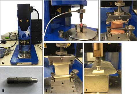 mechanical testing of soft tissue|biomechanical characterization of human soft tissue.